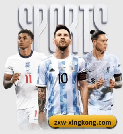 zxw-xingkong.com APP