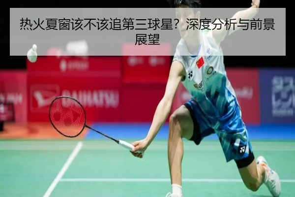 热火夏窗该不该追第三球星？深度分析与前景展望